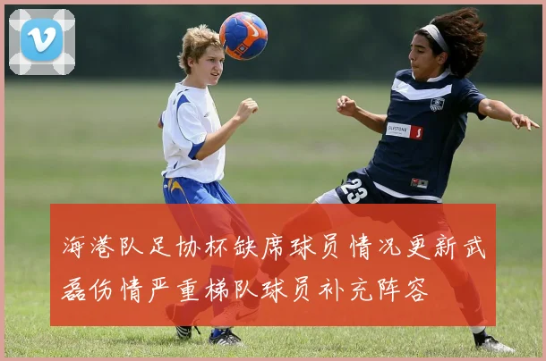 海港队足协杯缺席球员情况更新武磊伤情严重梯队球员补充阵容